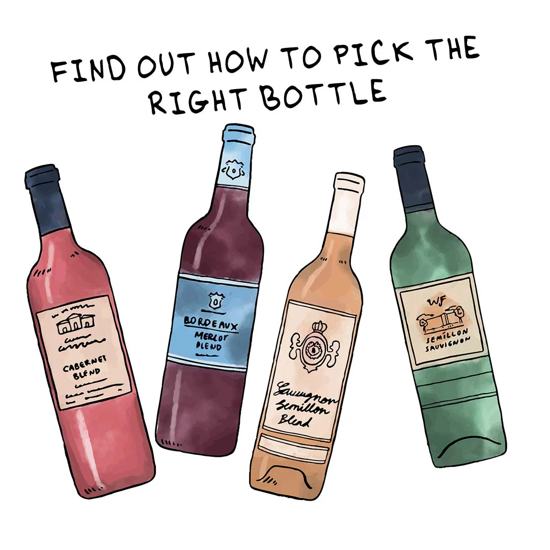 Bordeaux 101 - Image 5