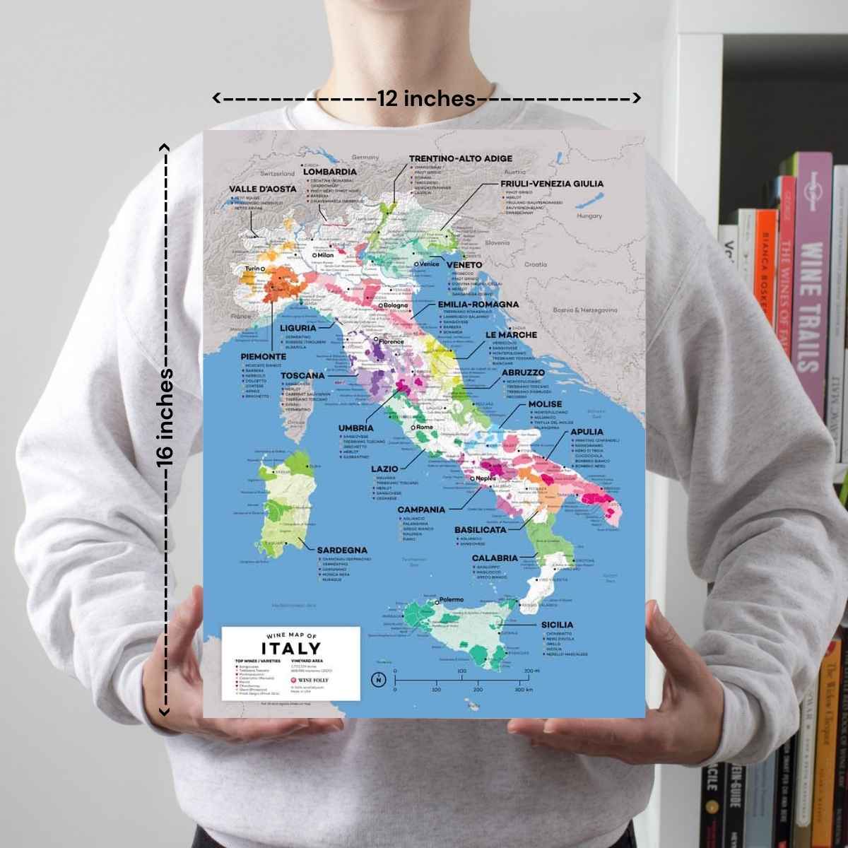 Italy Wine Map - 2nd Edition - Image 2