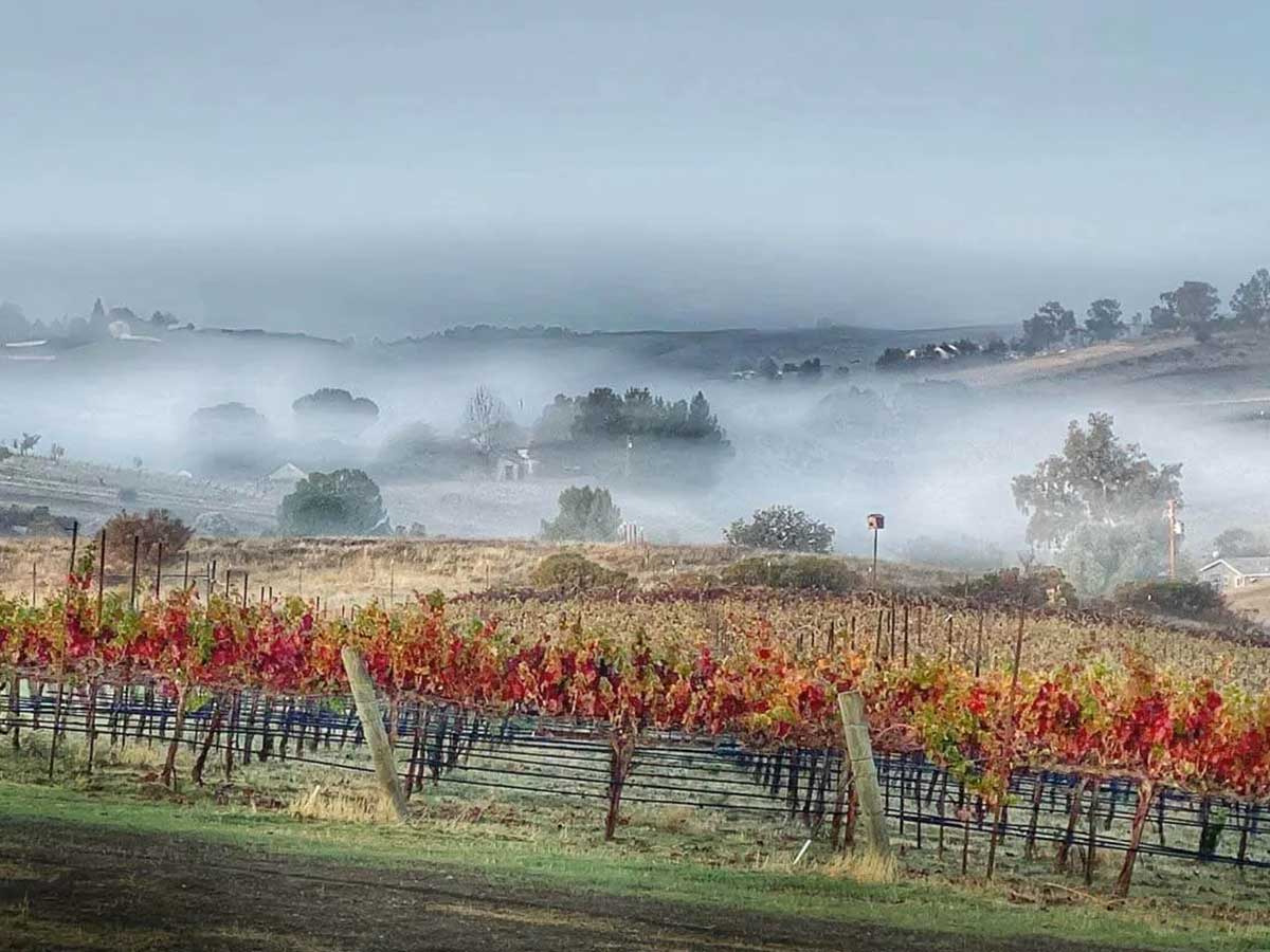 Paso Robles 101 - Image 14